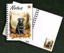 Labrador Retriever Dog