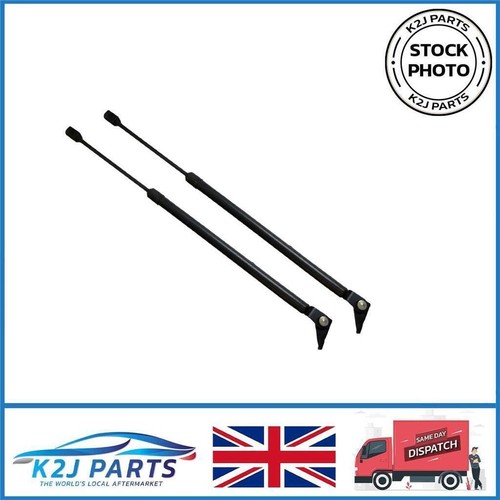 Boot struts pair for - boot,