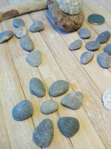 Small flat beach pebbles - small,