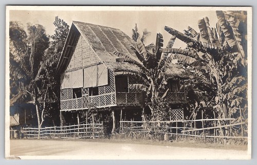 Rppc southeast asian stilt - asian,