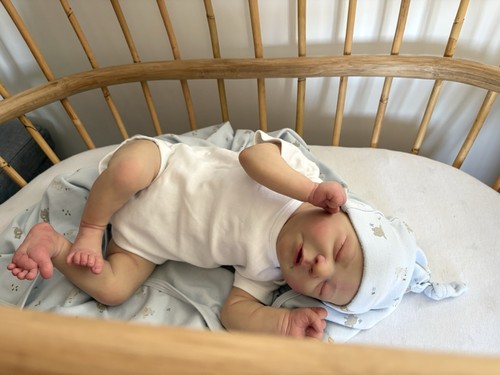 Reborn chase bonnie - reborn,