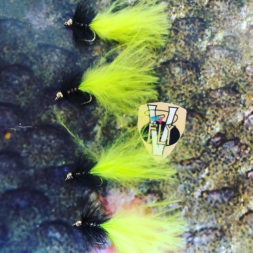 Fly size ultimate viva - 4, 10