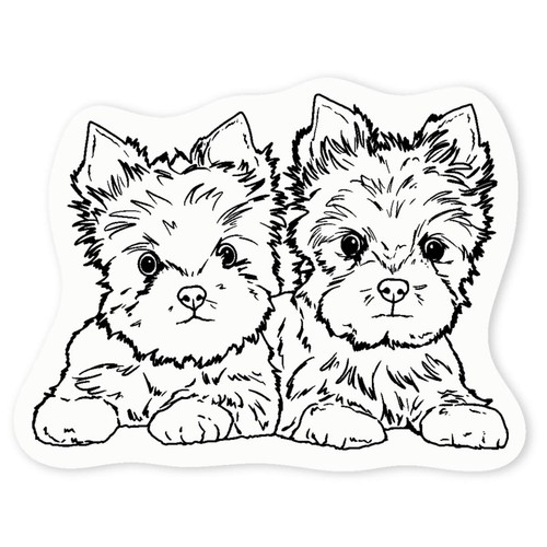 Yorkie puppies clear vinyl - 'yorkie,