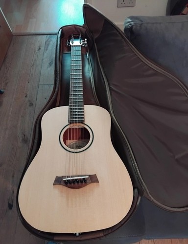 Taylor baby bt1e electro - taylor,
