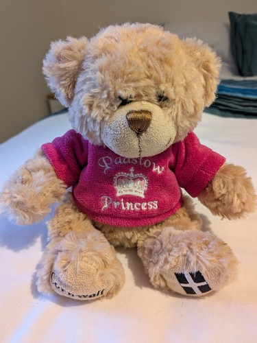 Padstow princess bear teddy - padstow, 7"