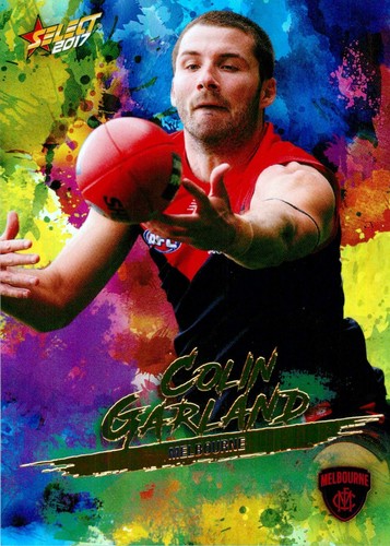 2017 melbourne demons afl card - demons,