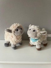 2 Waitrose Lamb Sheep Small