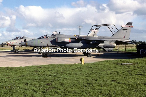Raf squadron sepecat - raf, 41
