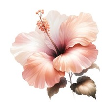 9x9cm flower wall decal