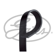 Rib multi drive - rib, belt