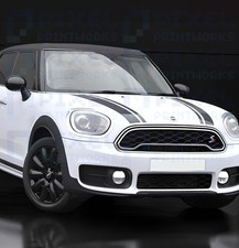 Bonnet Stripes - Vinyl Decals