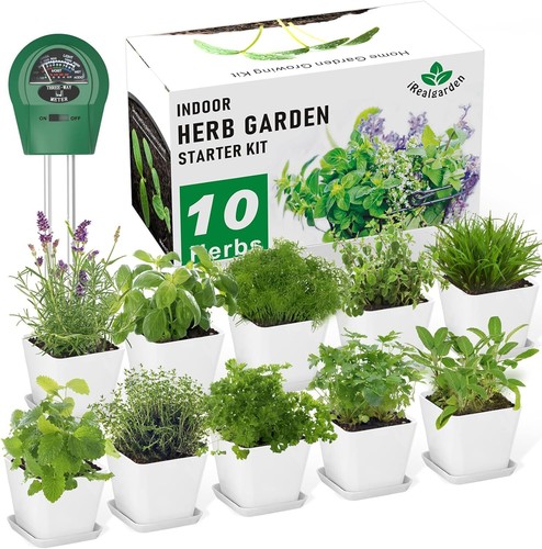 Herb garden kit - herb,