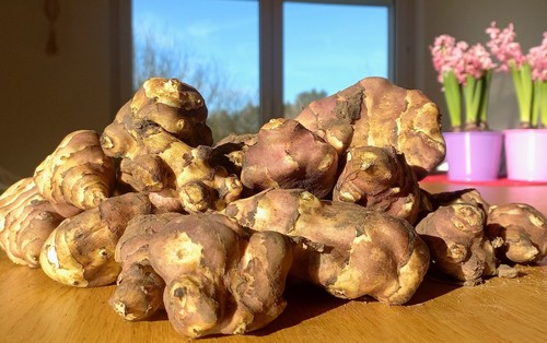Jerusalem artichoke 1kg - jerusalem, to
