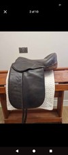 Enlightened Equitation SBS