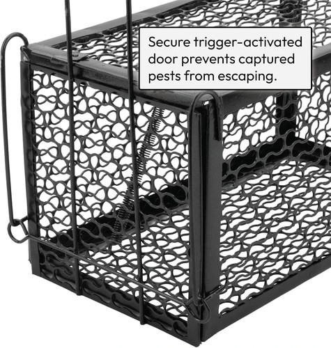 Humane rat trap mouse - mouse, catcher
