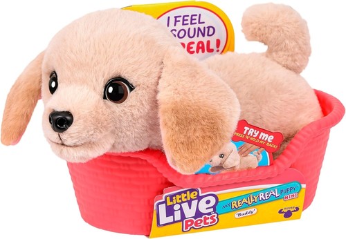 Little live pets really - little,