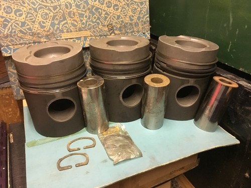 Leyland tl12 pistons - ,