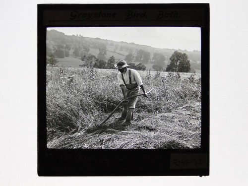 Rural farmer using - farmer, scythe