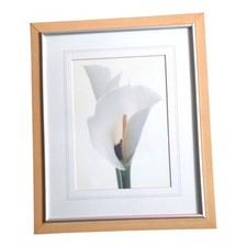 Floral Print White Flower Framed Picture In Good condition