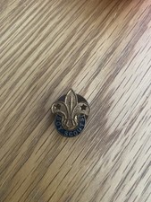Boy Scouts Pin/badge  -