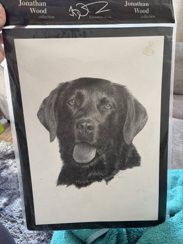 Jonathan wood original pencil - jonathan,