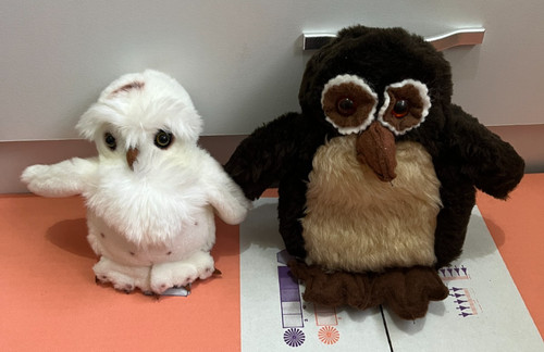 Bundle snowy brown owl - bundle,