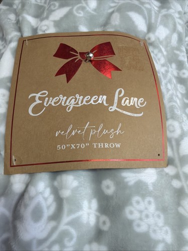 Evergreen lane velvet - evergreen,