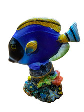 Blue Tang Fish Decorative Desk