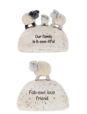 Fab-ewe-lous Sheep Standing On