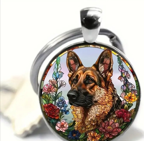 Beautiful german shepherd - beautiful, dog