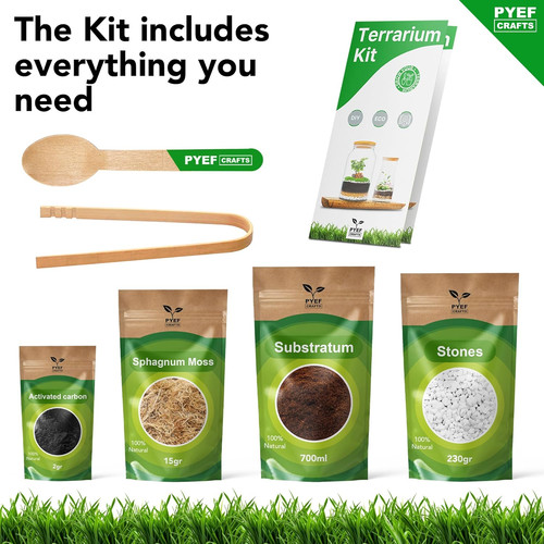 Diy terrarium kit - diy,