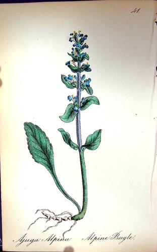 Original old antique - old,
