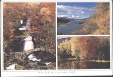 PERTHSHIRE'S AUTUMN GOLD, Scotland - Vintage POSTCARD