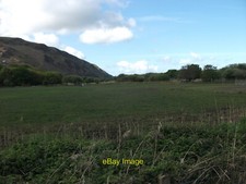 Photo 6x4 Overgrazed horse