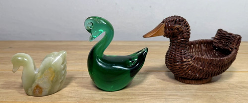Duck swan birds - duck,
