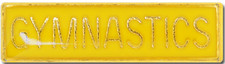 Gymnastics Bar Pin Badge in