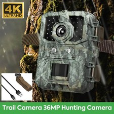 LCD Hunting Trail Wildlife