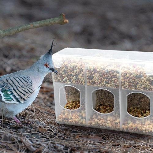 Portable transparent plastic - portable,