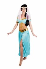 Women`s Princess Jasmine Costume Adult Arabian Harem Belly Dancer Fancy Dress