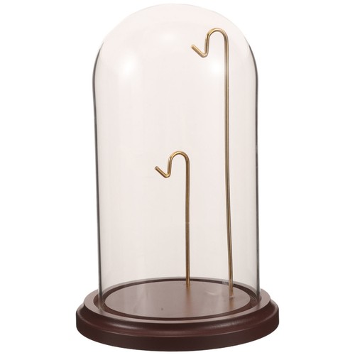 Glass dome display case with - glass,