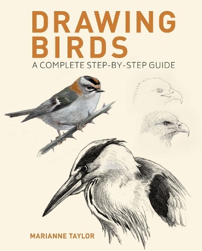 Drawing birds marianne - drawing, by