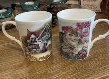 2 Kingsbury Cottage Kitten