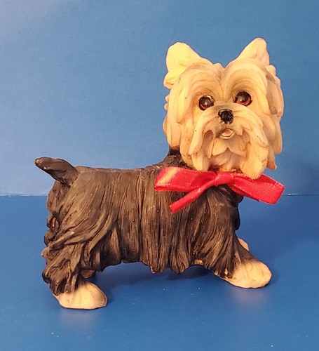 Yorkie yorkshire terrier - terrier, dog
