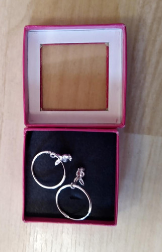 Playboy bunny hoops - playboy,