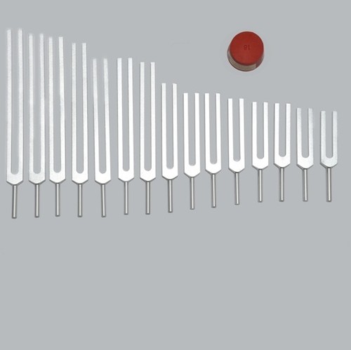 Tuning forks for - 15,