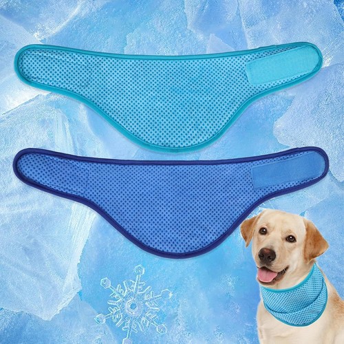 Pack dog cat puppy - cat, cooling