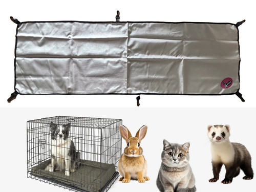 Cleo outdoor pet - outdoor, sun