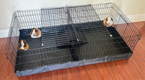 Sturdy large guinea pig - x-large,