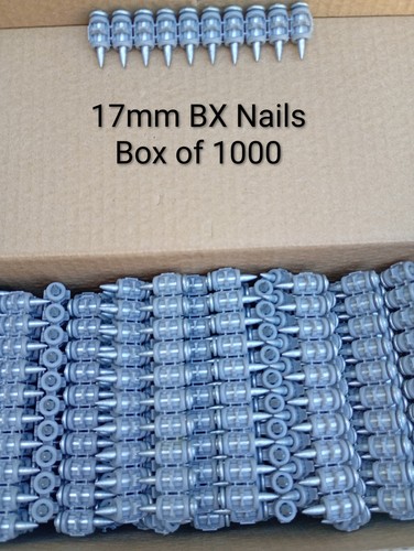 17mm box 1000 nails - box,