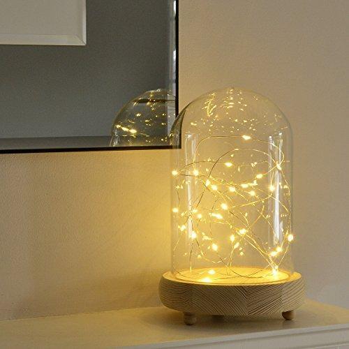 Glass dome bell jar - jar, with